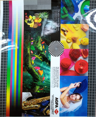 Good price 1920mm chiều rộng 30mic Glossy Multiply Extrusion PET Hot Laminating Film For Photo Protection Layer trực tuyến